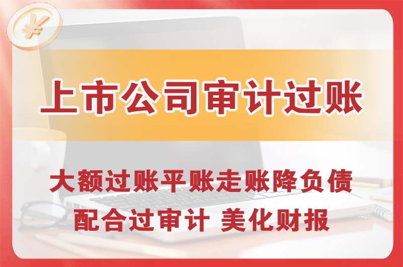 湘潭上市公司审计过账
